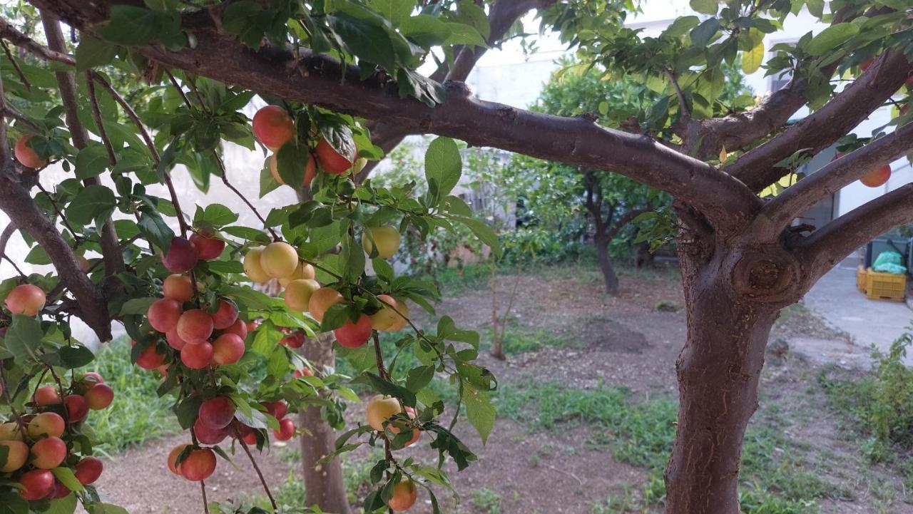 Jonia Appartamento Vacanze Vicino Al Mare Con Giardino Pulsano Dış mekan fotoğraf