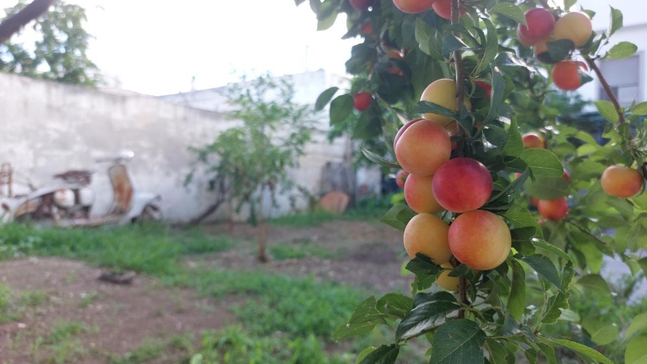 Jonia Appartamento Vacanze Vicino Al Mare Con Giardino Pulsano Dış mekan fotoğraf