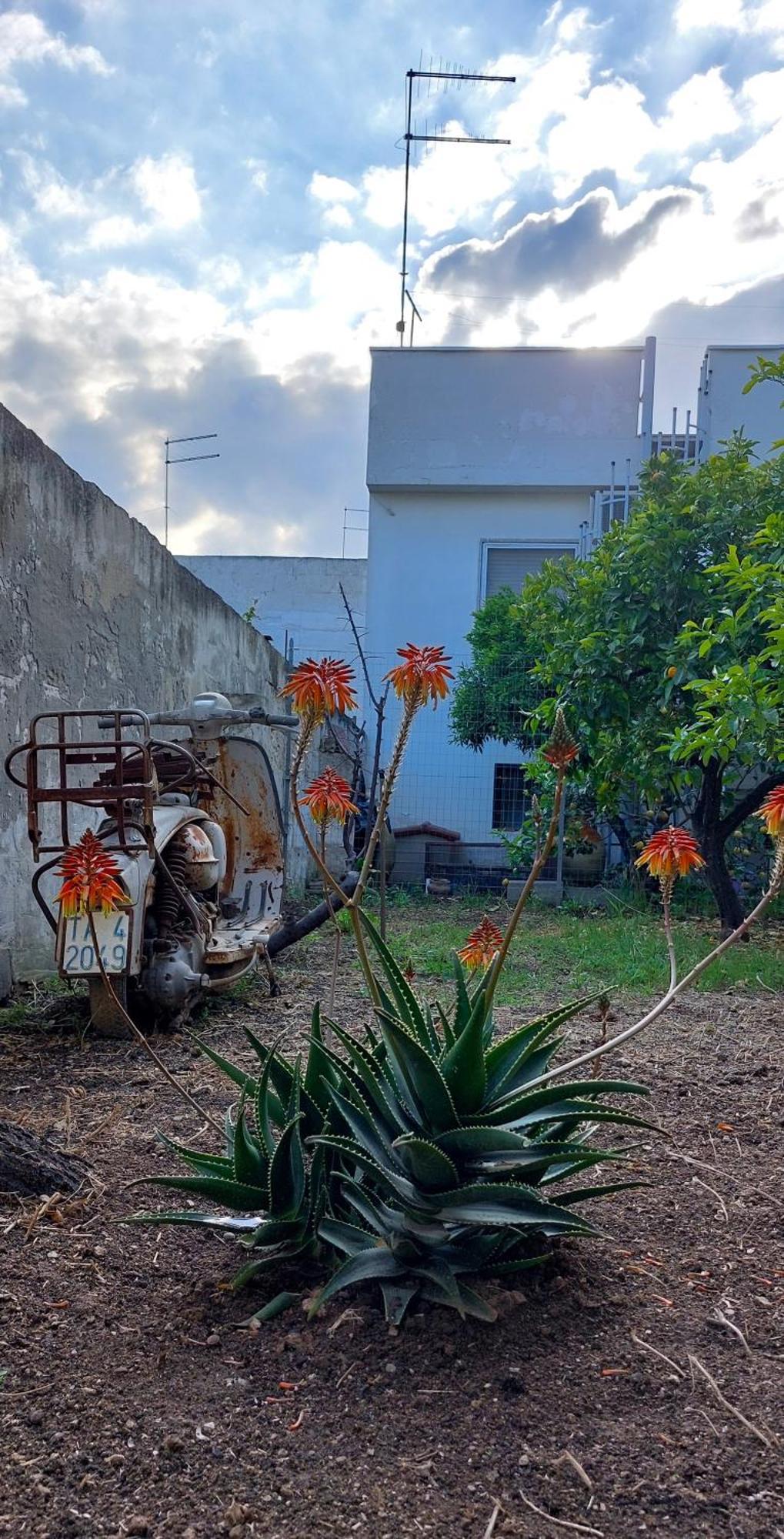 Jonia Appartamento Vacanze Vicino Al Mare Con Giardino Pulsano Dış mekan fotoğraf